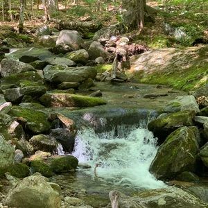 Meet your Posher, Crystal